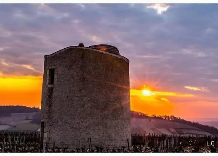 L\'Ecurie De Lili Entre Bourges Et Sancerre