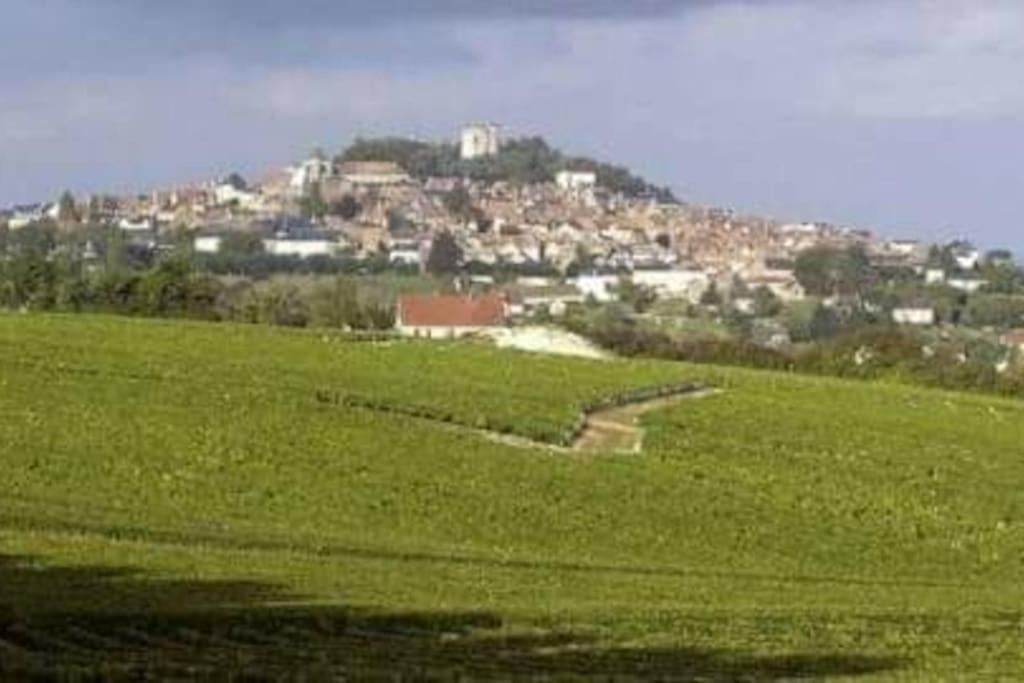 L'ecurie De Lili Entre Bourges Et Sancerre Apartment
